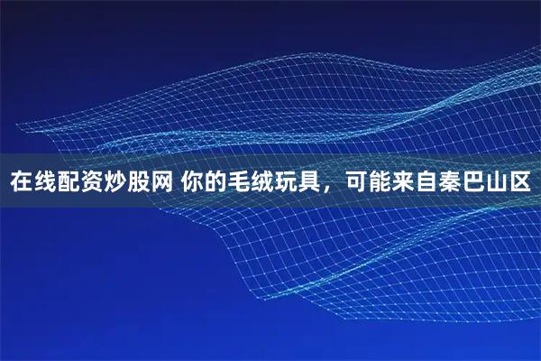 在线配资炒股网 你的毛绒玩具，可能来自秦巴山区