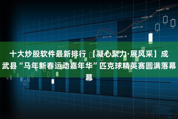 十大炒股软件最新排行 【凝心聚力·展风采】成武县“马年新春运动嘉年华”匹克球精英赛圆满落幕
