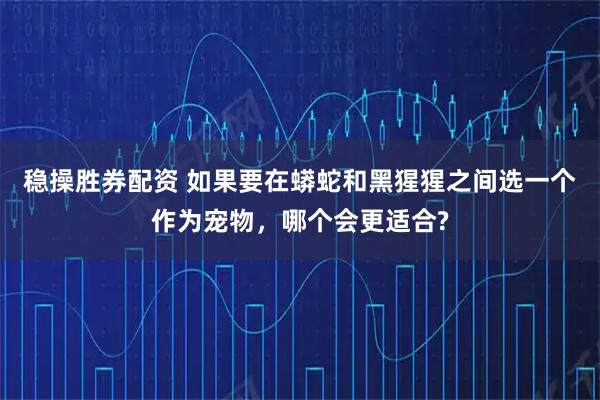 稳操胜券配资 如果要在蟒蛇和黑猩猩之间选一个作为宠物，哪个会更适合?
